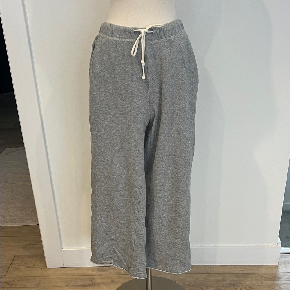 Z Supply Gray Women's Track Pants